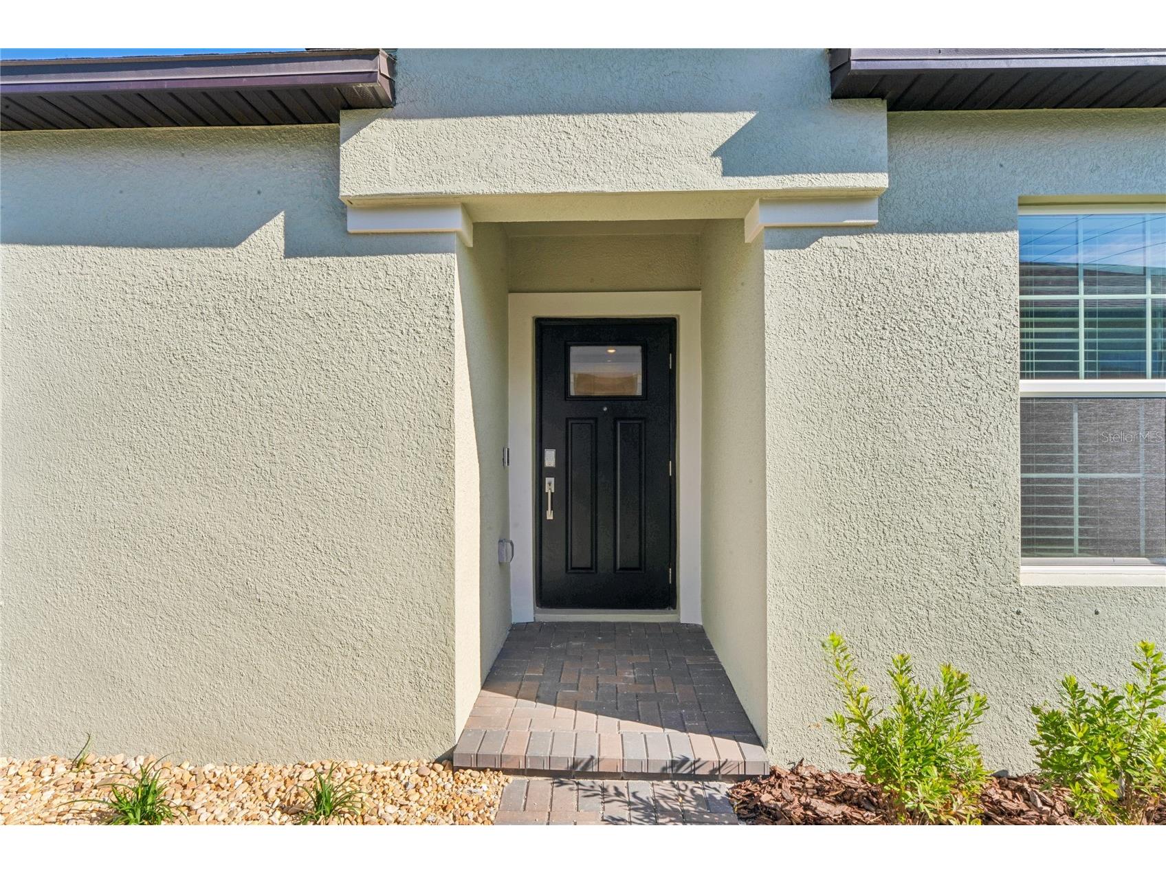 6692 Homebound Way New Port Richey FL 34655 W7884055 image4