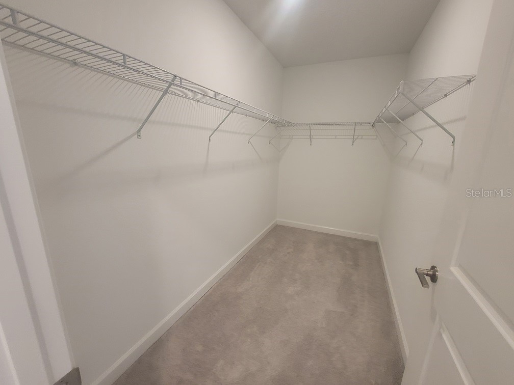 6692 Homebound Way New Port Richey FL 34655 W7886908 image18
