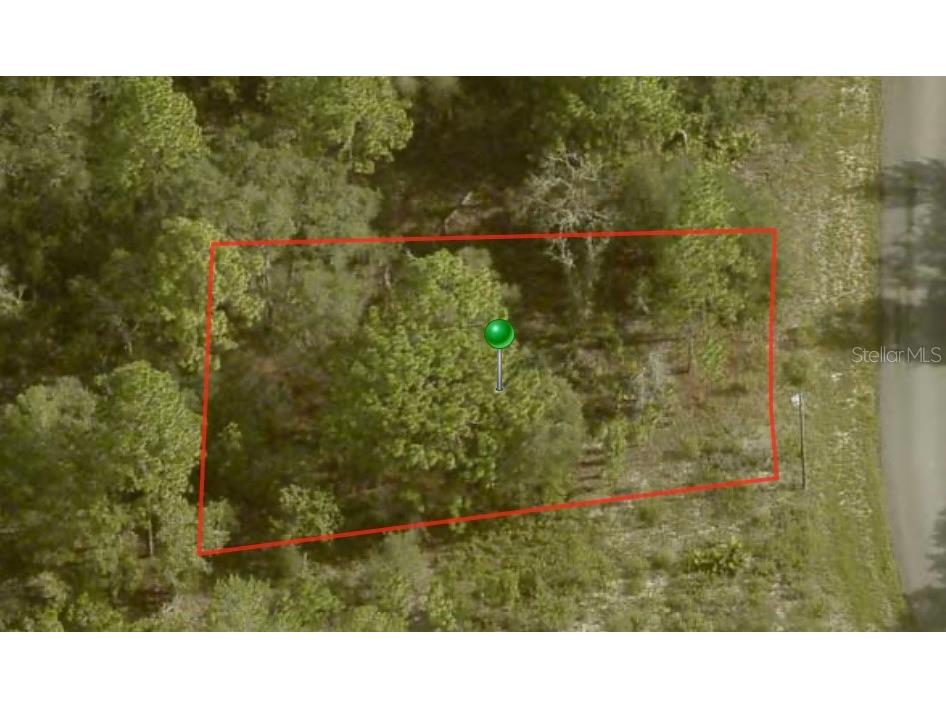 6692 N Buckskin Drive Citrus Springs FL 34434 A4595527 image1