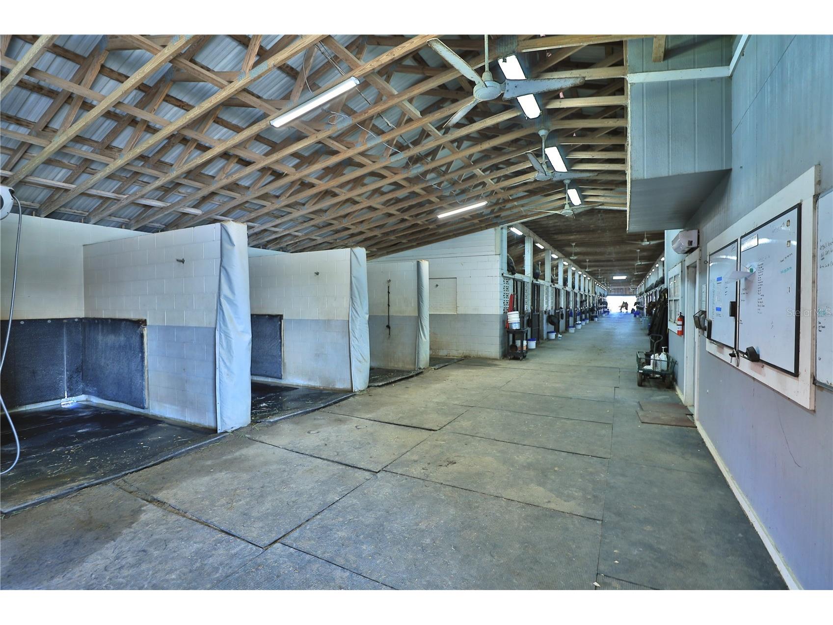 6692 NW 150th Avenue Morriston FL 32668 OM724473 image54