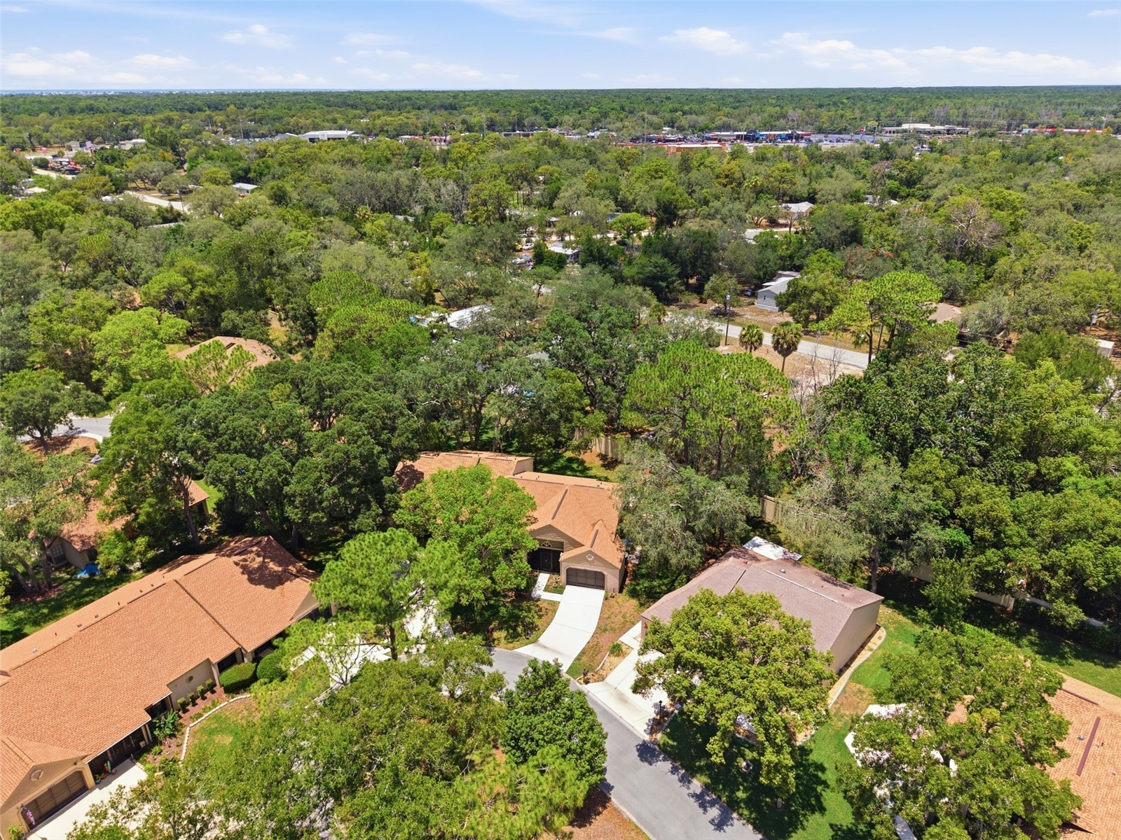 6695 Pin Oak Court Spring Hill FL 34606 W7887339 image35