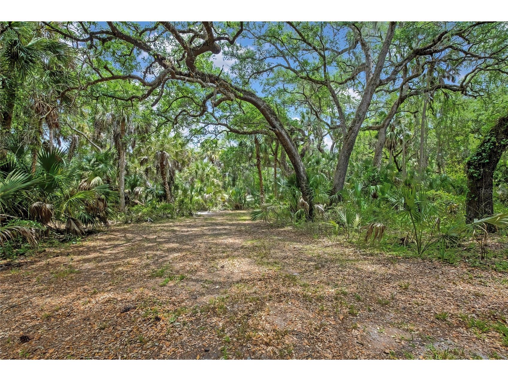 6699 N Broken Arrow Trail Hernando FL 34442 W7885411 image17