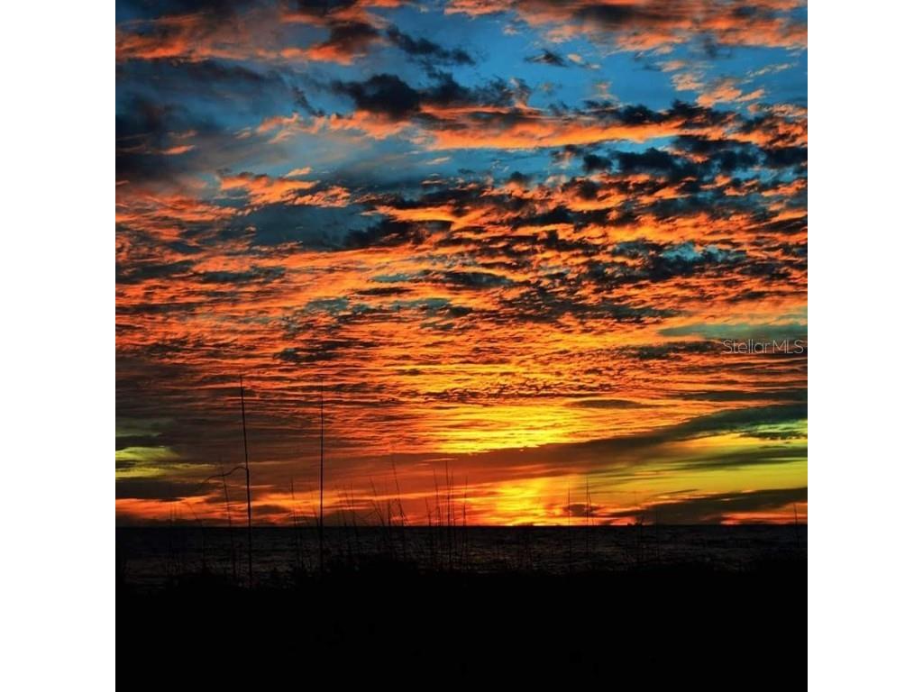 67 Bocilla Drive Placida FL 33946 D6142555 image18