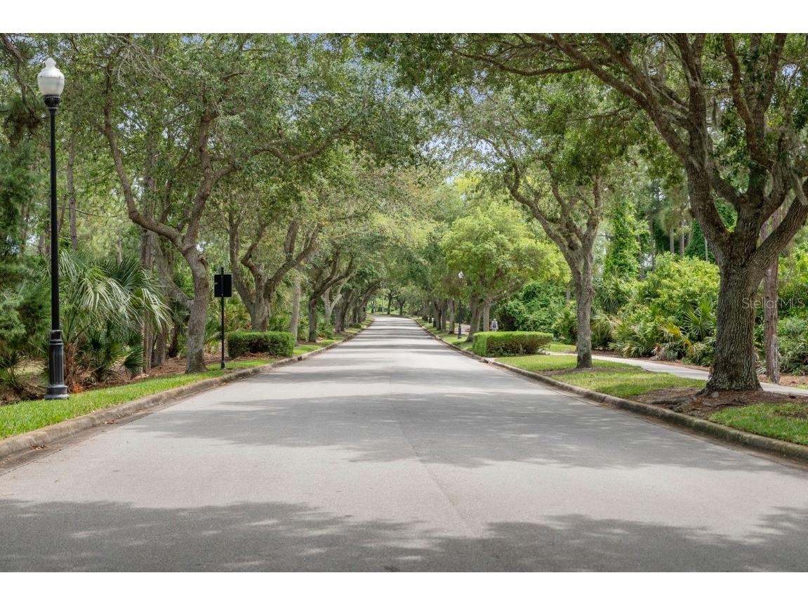 67 Lagare Street Palm Coast FL 32137 FC310984 image33