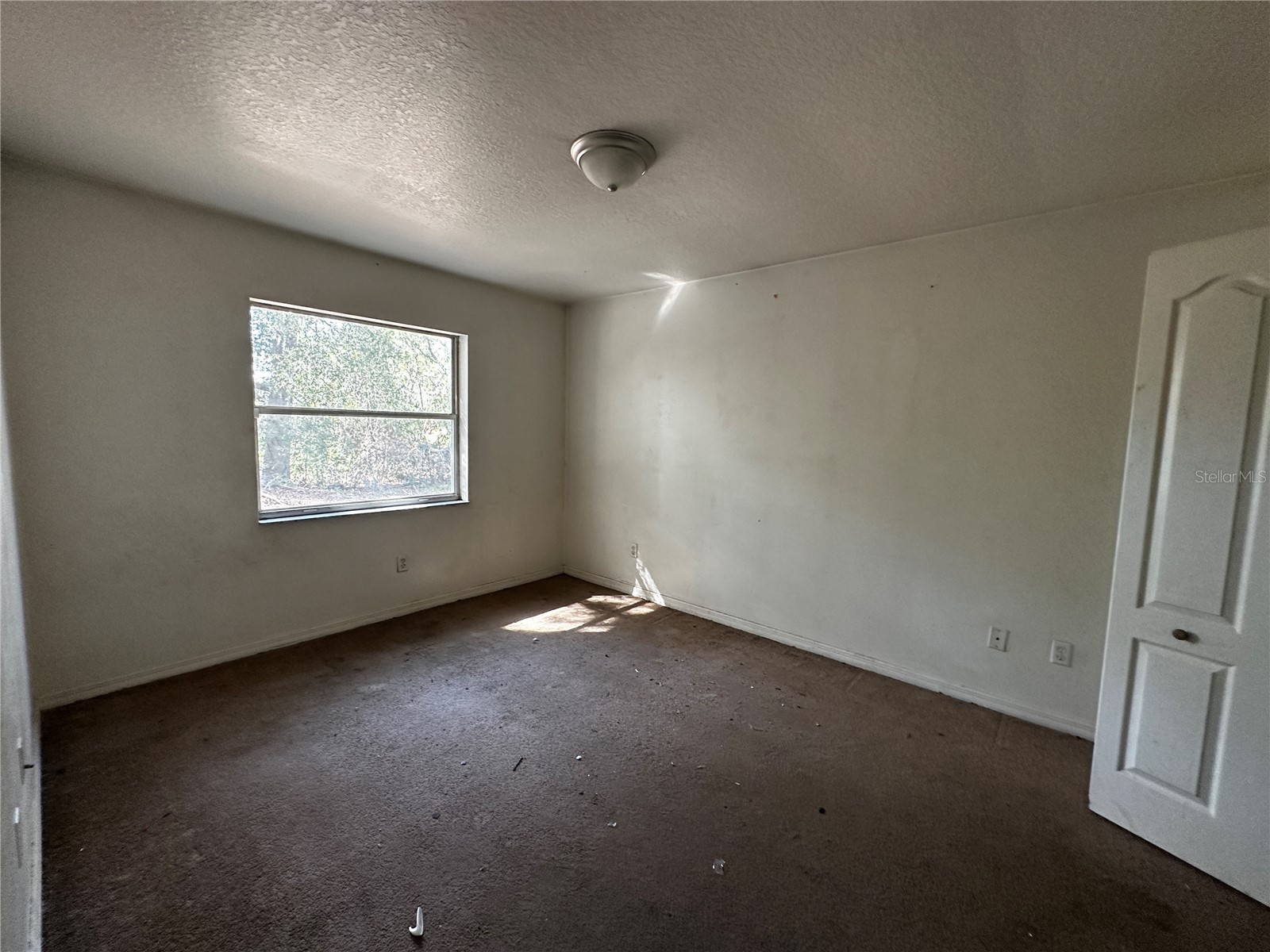 67 Larch Course Ocala FL 34480 OM717238 image4