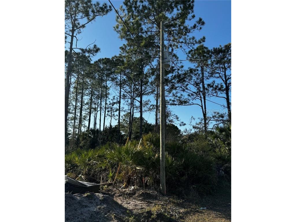 67 Sedgwick Trail Palm Coast FL 32164 FC298519 image1