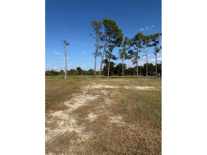 670 Alvarado North Port FL 34287 TB8442651 image2
