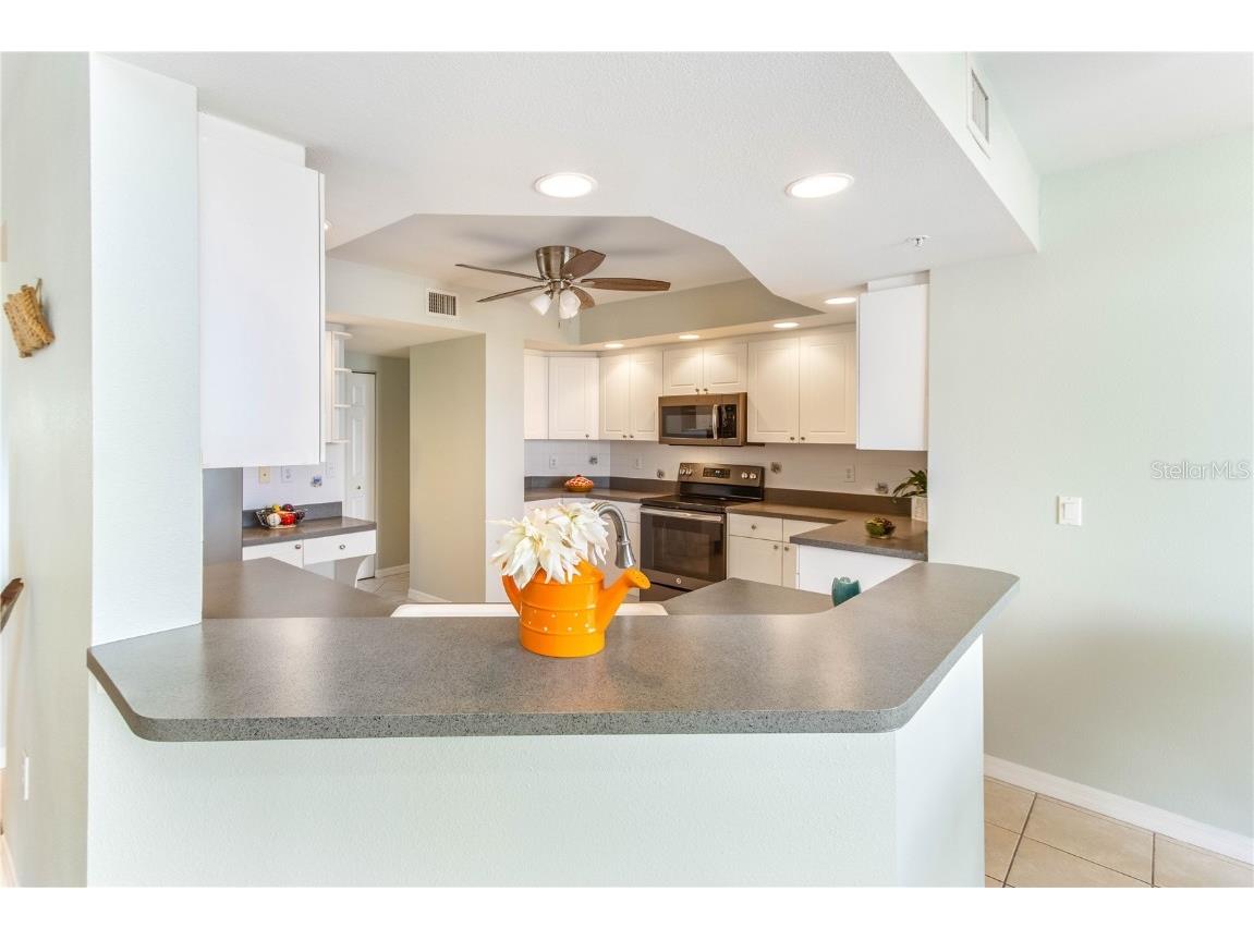 670 Island Way #501 Clearwater Beach FL 33767 - GULF OF AMERICA INTRACOASTAL TB8427457 image32