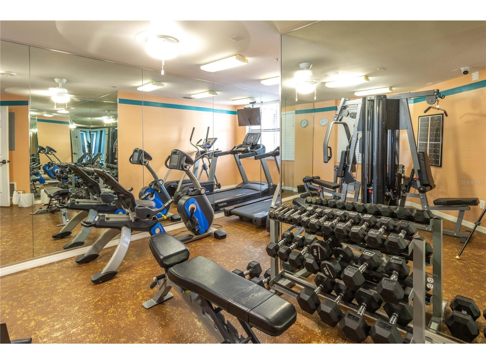 670 Island Way #501 Clearwater Beach FL 33767 TB8498261 image9