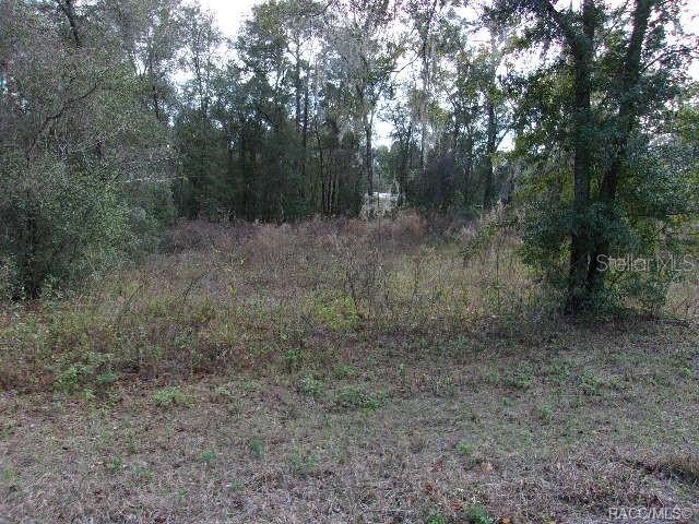 6700 E Haynes Lane Inverness FL 34452 OM702337 image1