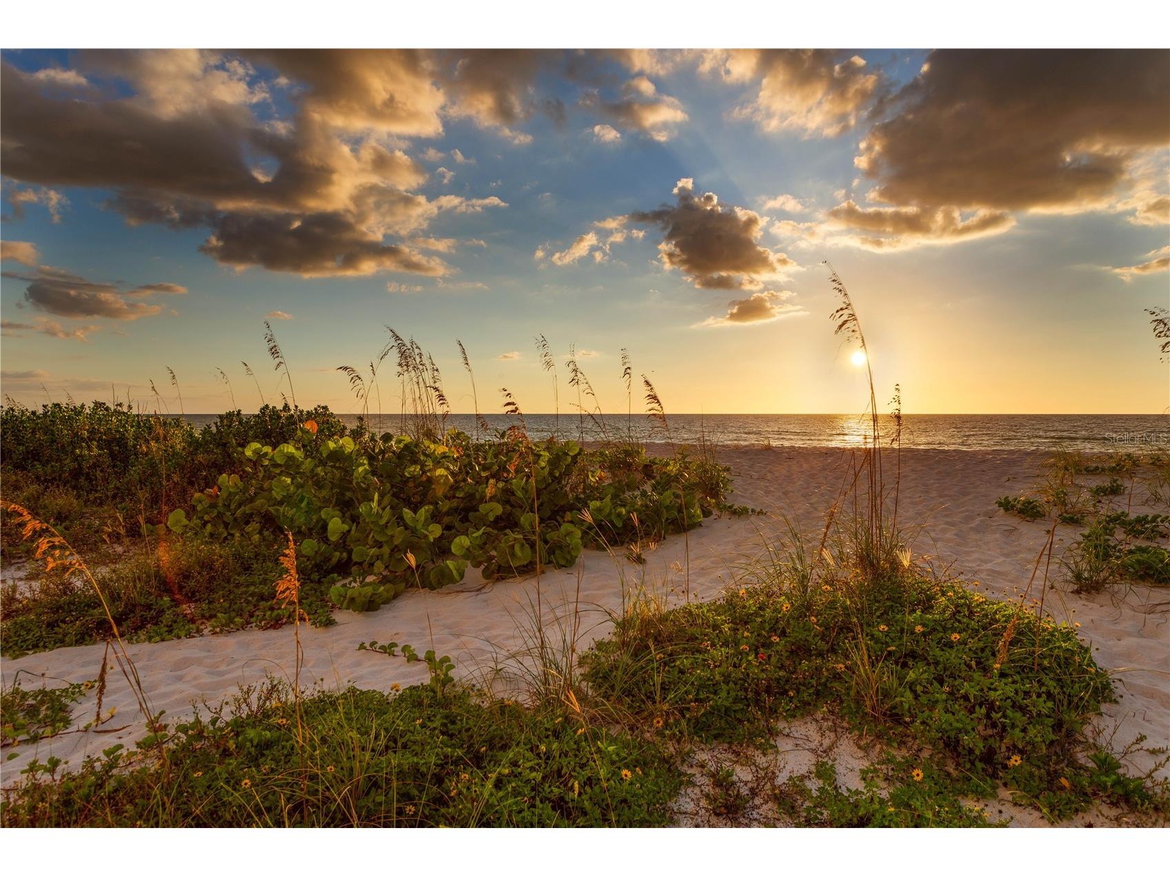 6701 Burlington Avenue N Saint Petersburg FL 33710 TB8467047 image40