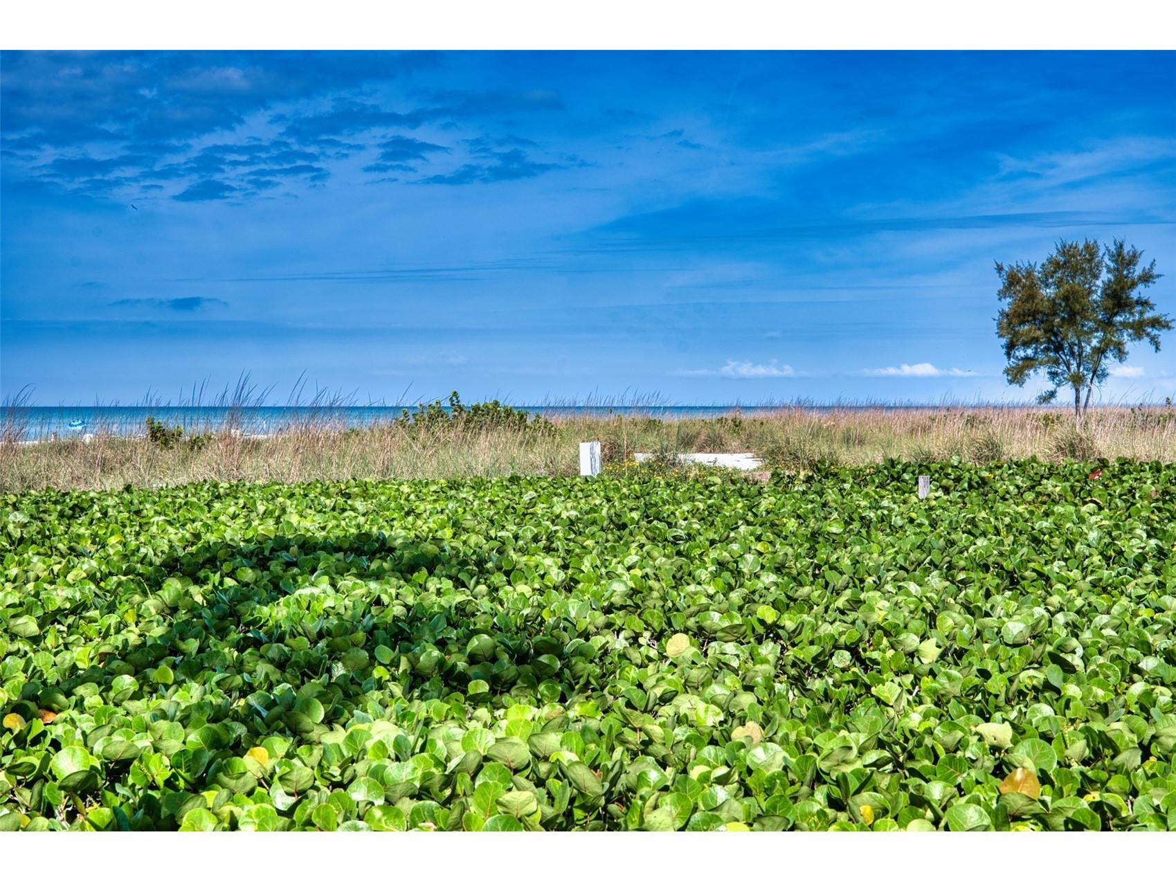 6701 Gulf Of Mexico Drive #332 Longboat Key FL 34228 A4689175 image7