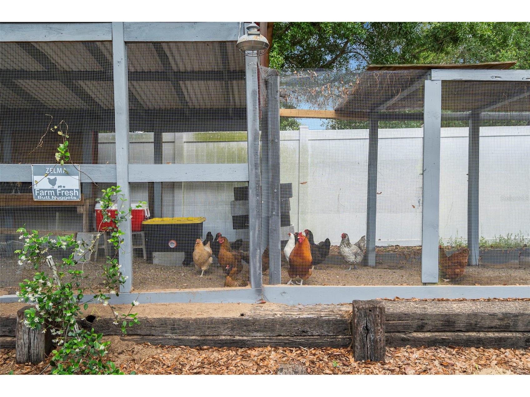 6702 Josie Drive Seffner FL 33584 TB8496545 image42