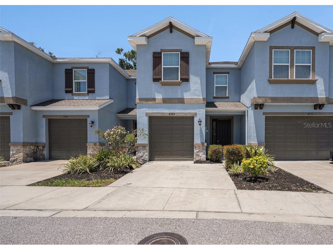 6703 Citrus Creek Lane Tampa FL 33625 O6311986 image1