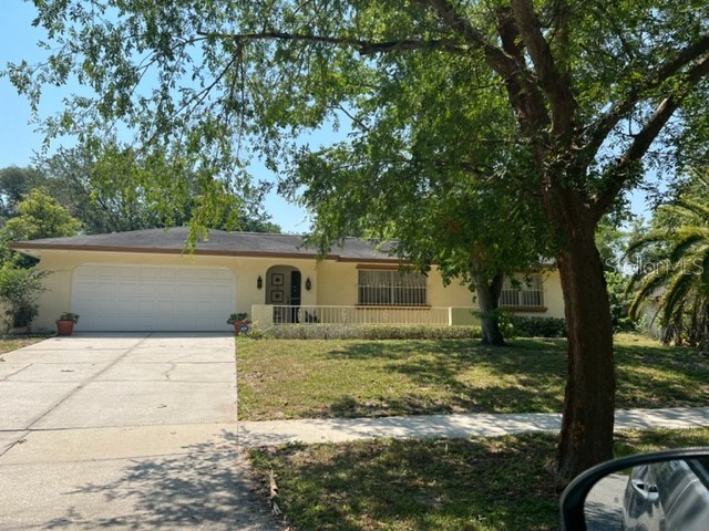 6703 Pampus Drive Orlando FL 32819 S5081067 image1