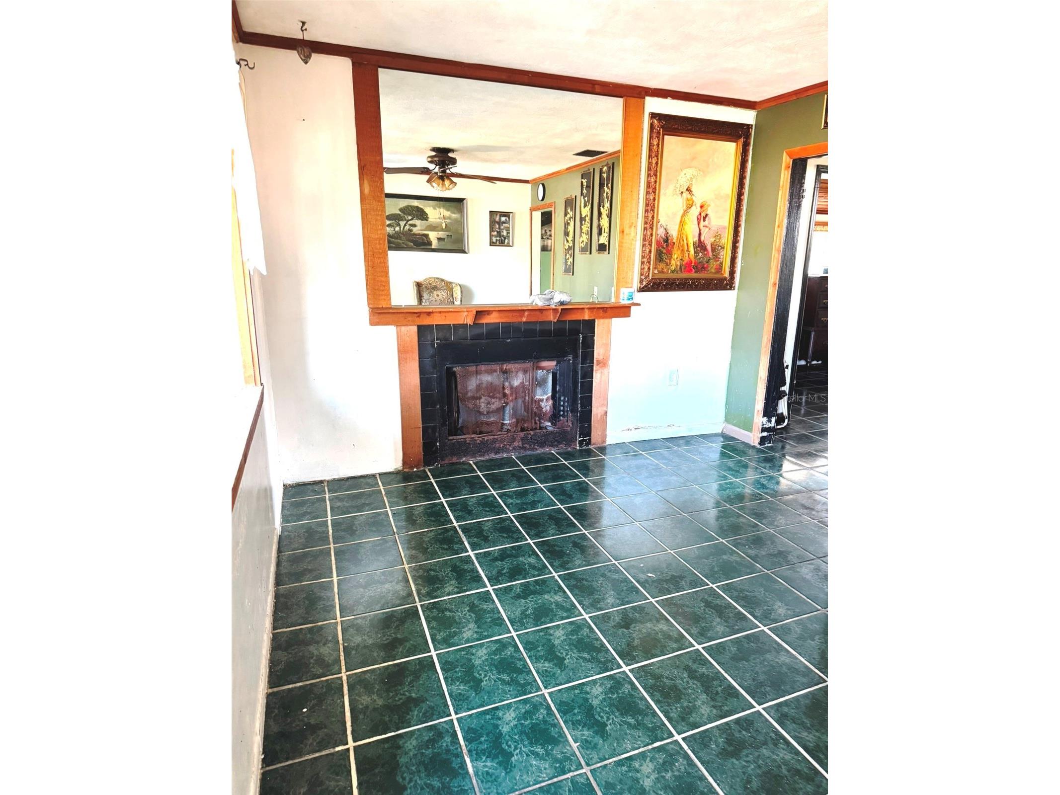 6703 S Faul Street Tampa FL 33616 TB8476717 image3