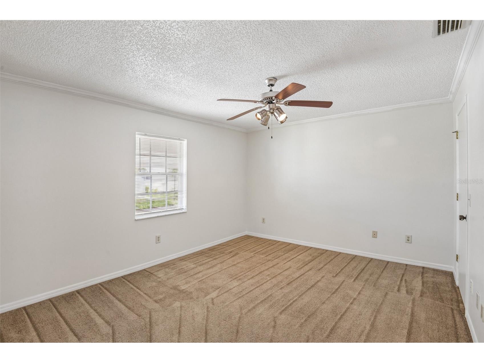6704 Hickorywood Lane New Port Richey FL 34653 TB8499747 image11