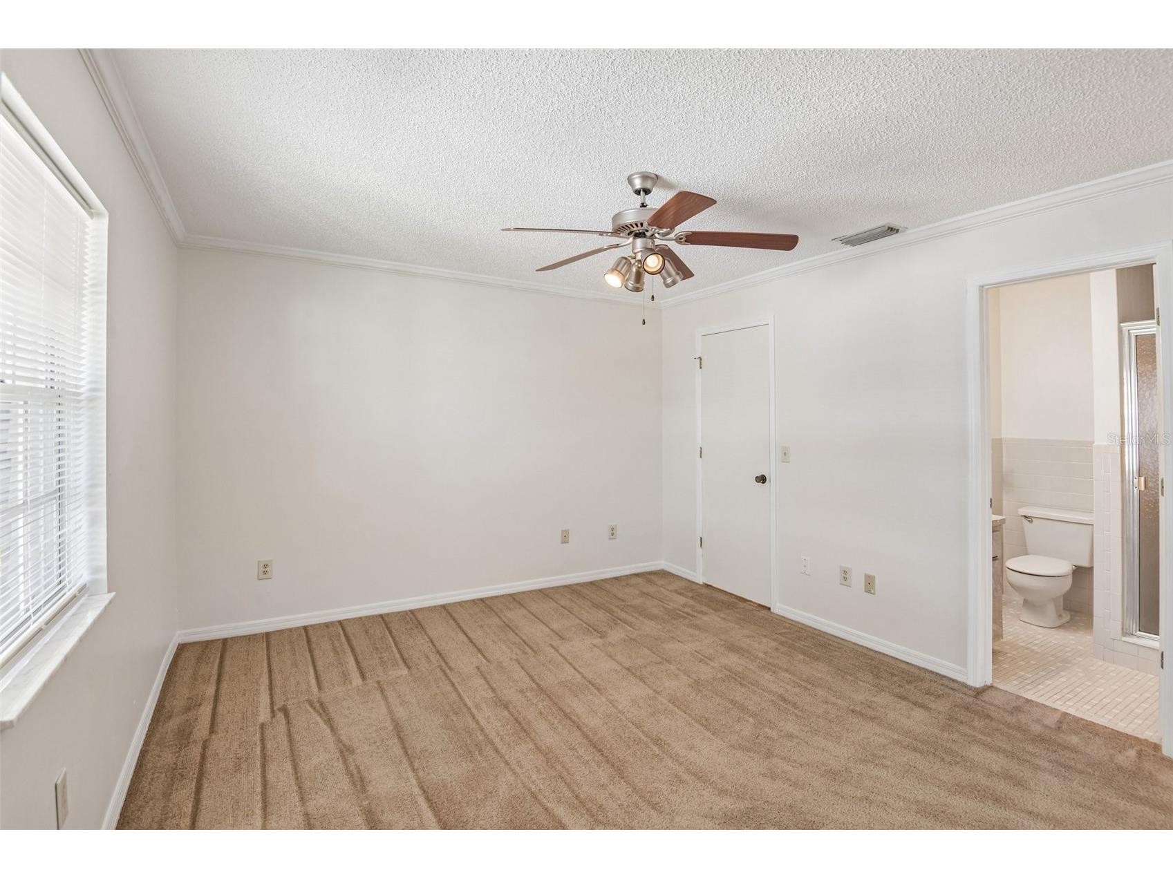 6704 Hickorywood Lane New Port Richey FL 34653 TB8499747 image12