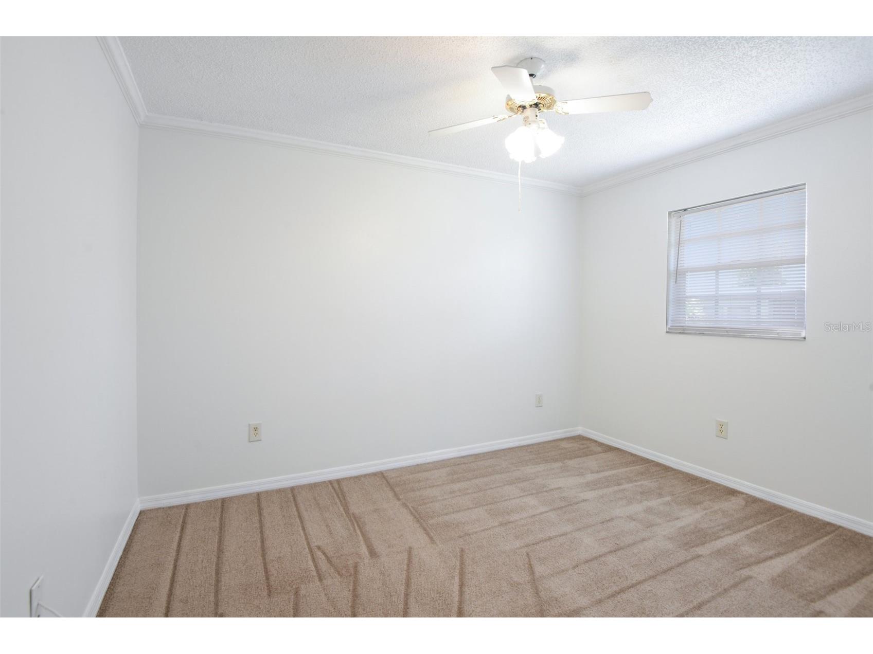 6704 Hickorywood Lane New Port Richey FL 34653 TB8499747 image15