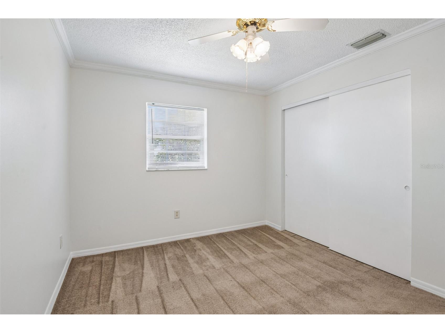 6704 Hickorywood Lane New Port Richey FL 34653 TB8499747 image16