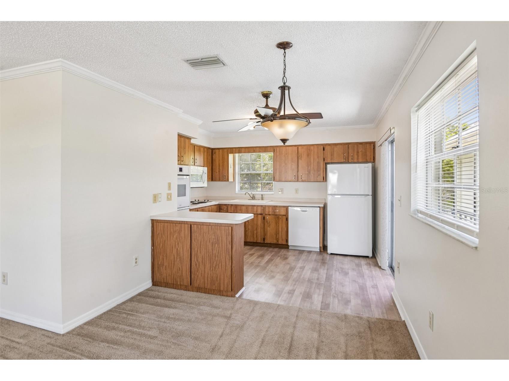6704 Hickorywood Lane New Port Richey FL 34653 TB8499747 image6