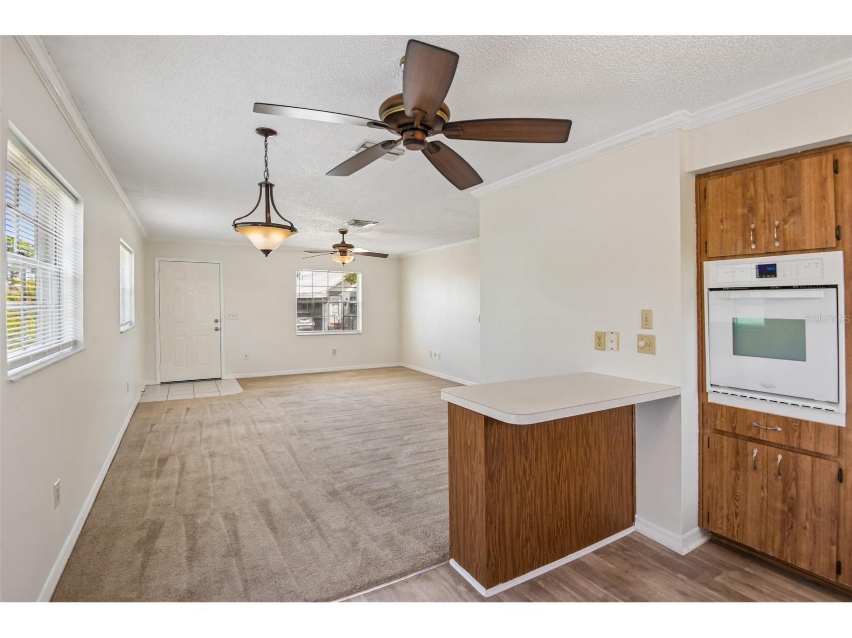 6704 Hickorywood Lane New Port Richey FL 34653 TB8499747 image8