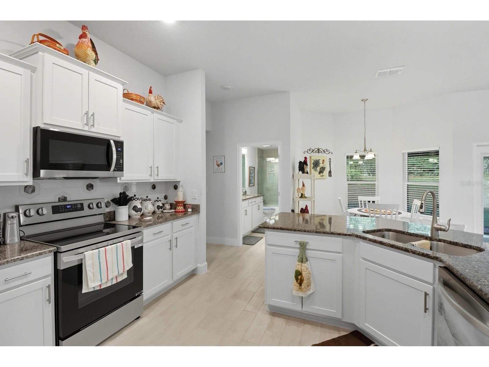 6704 SW 179th Court Road Dunnellon FL 34432 OM710509 image18