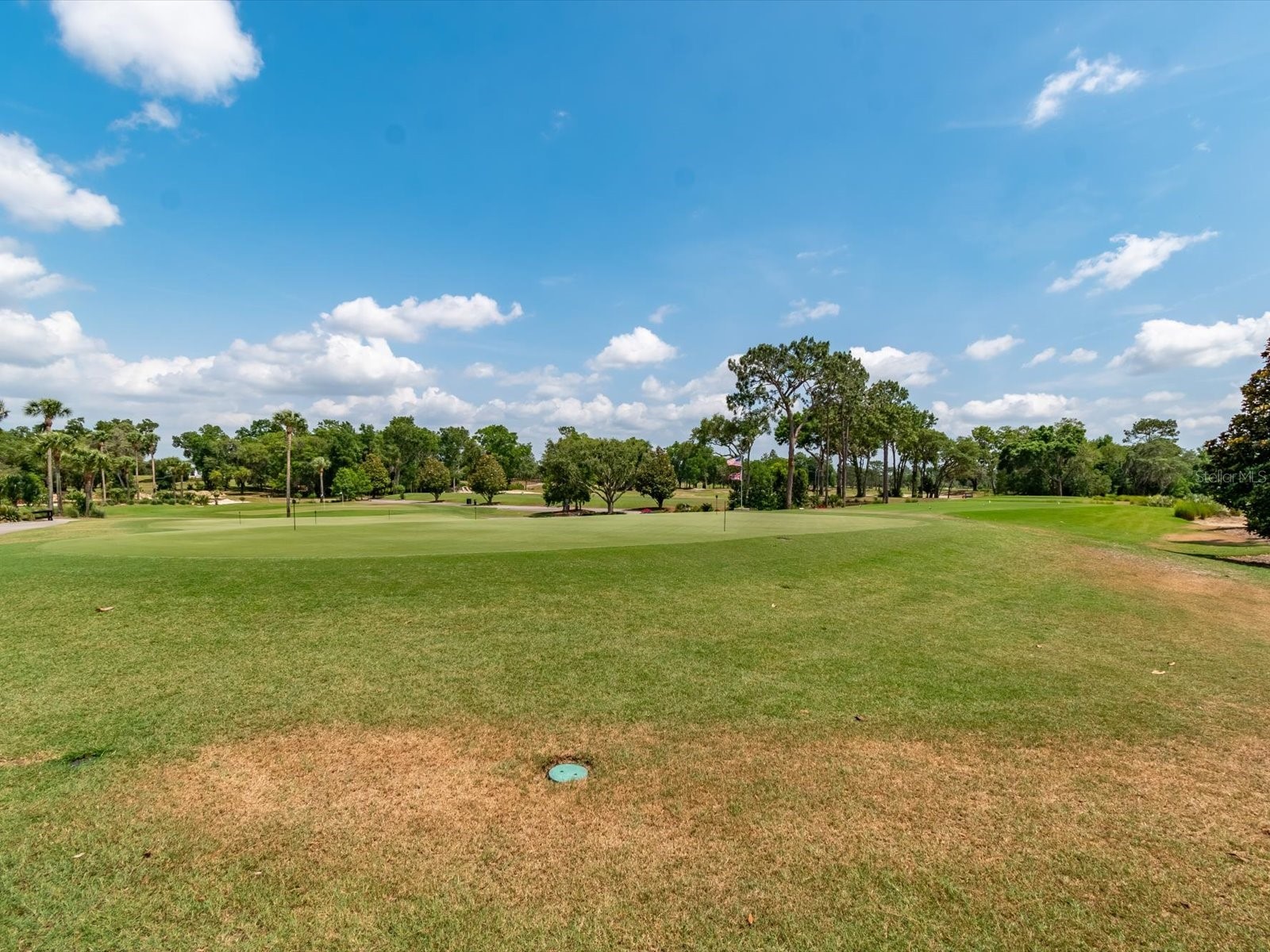 6704 SW 179th Court Road Dunnellon FL 34432 OM724070 image60