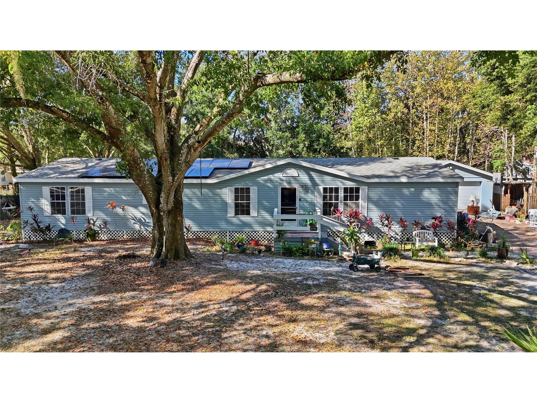 6705 Applewood Drive Wesley Chapel FL 33544 TB8441319 image1