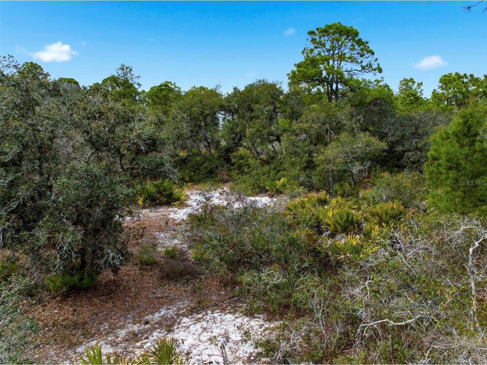 6705 Balsam Place Sebring FL 33875 O6386258 image10