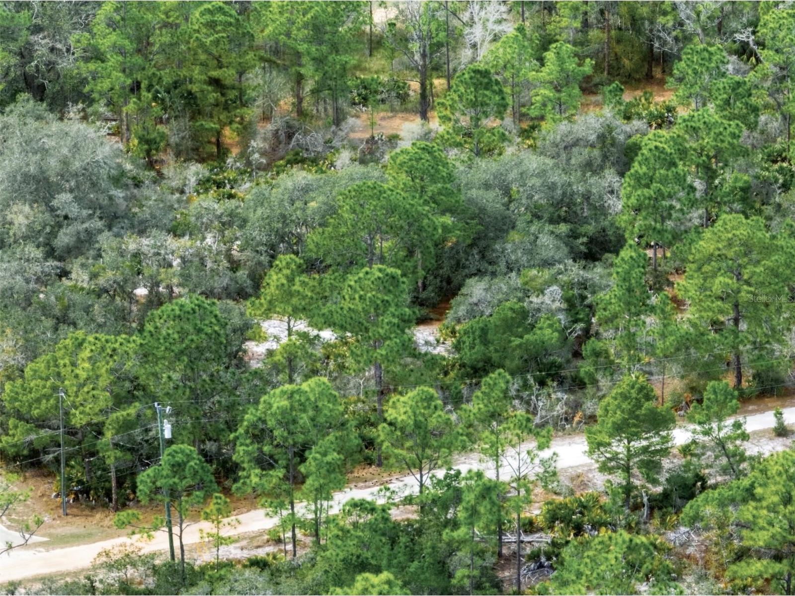 6705 Balsam Place Sebring FL 33875 O6386258 image15