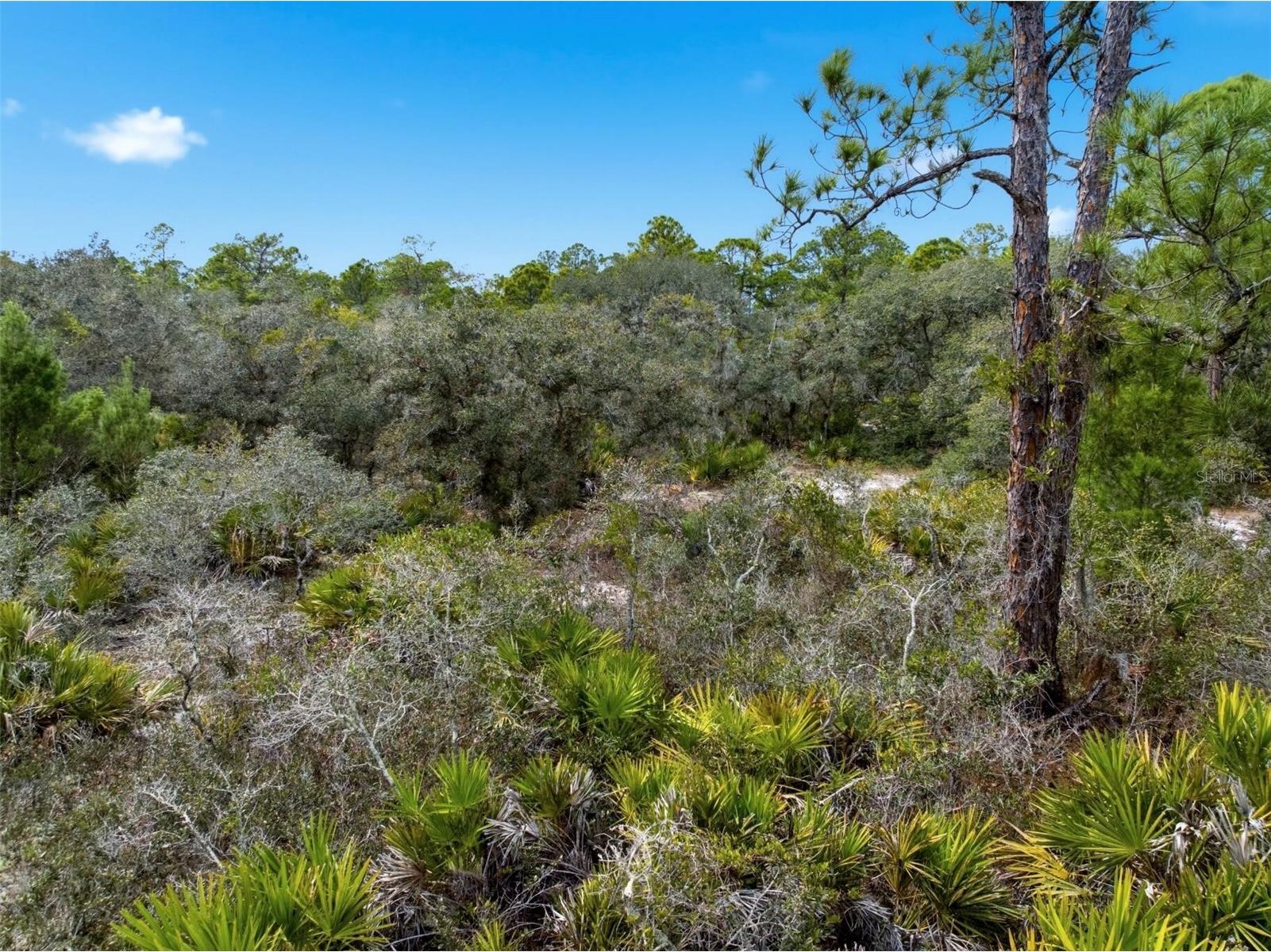 6705 Balsam Place Sebring FL 33875 O6386258 image16
