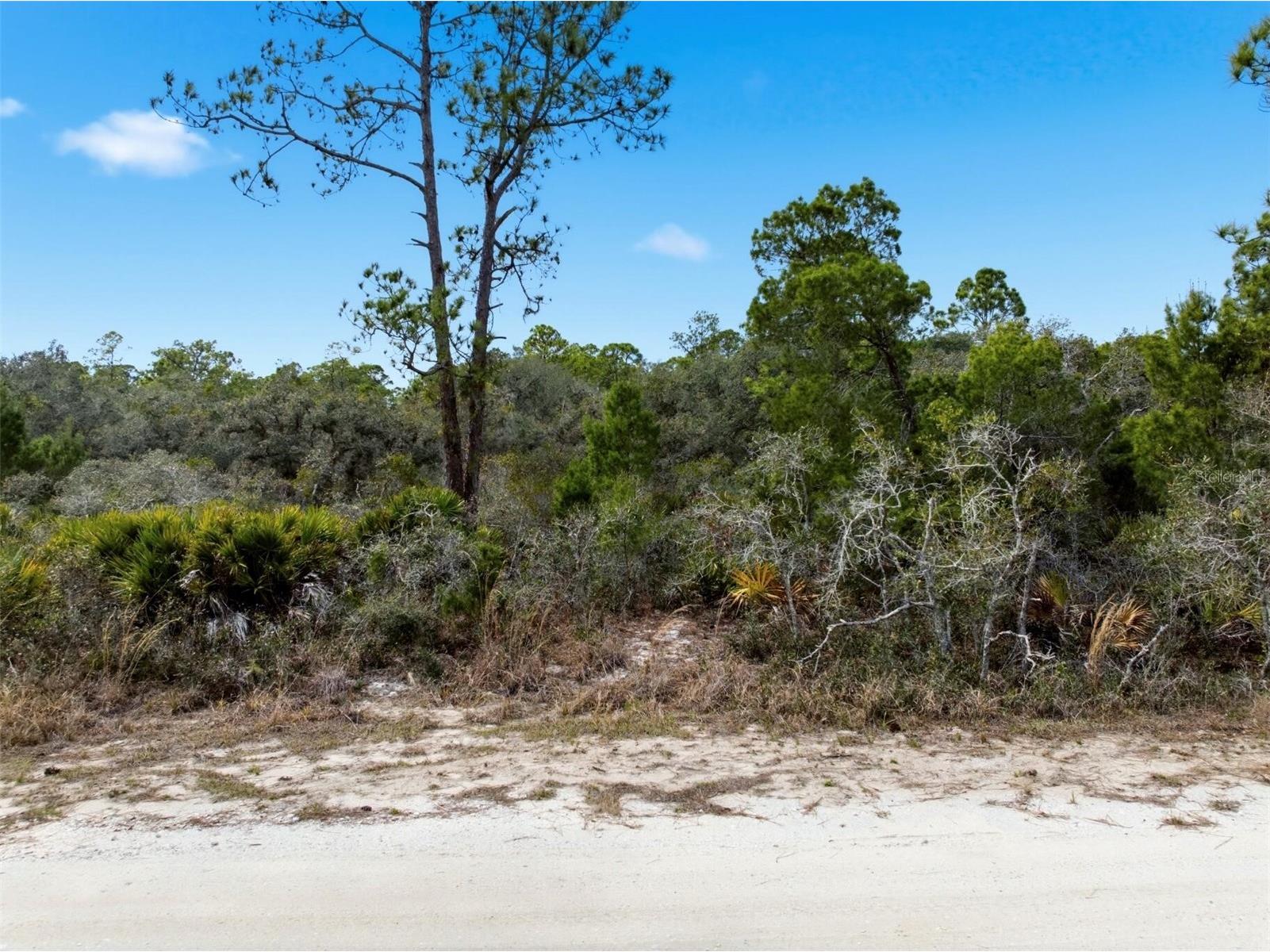 6705 Balsam Place Sebring FL 33875 O6386258 image4