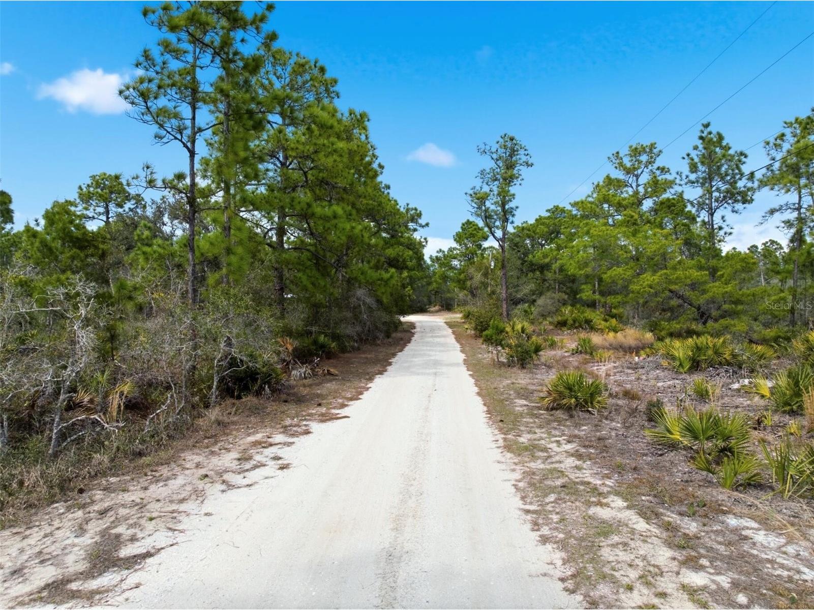 6705 Balsam Place Sebring FL 33875 O6386258 image9