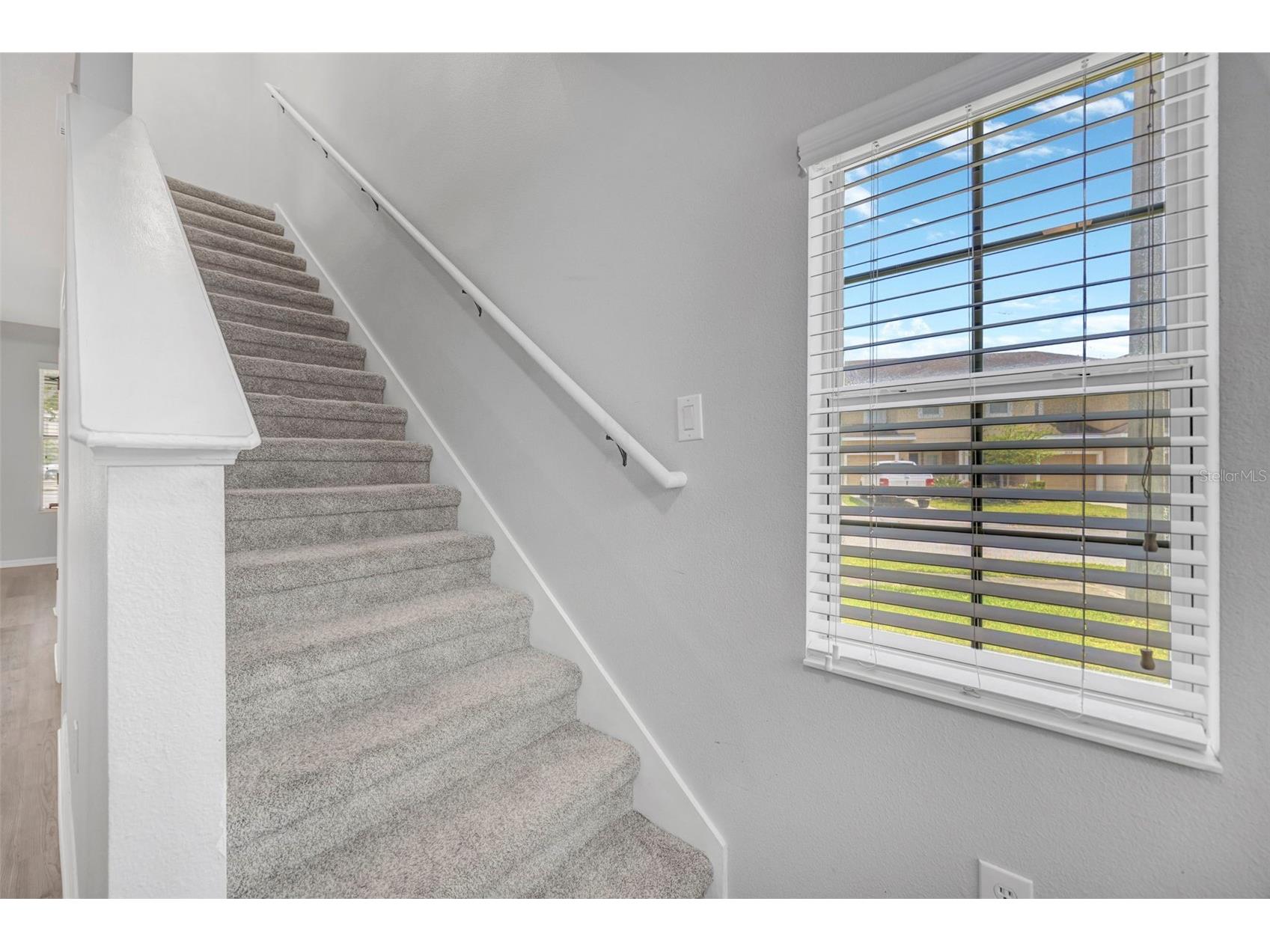 6705 Holly Heath Drive Riverview FL 33578 TB8496575 image38