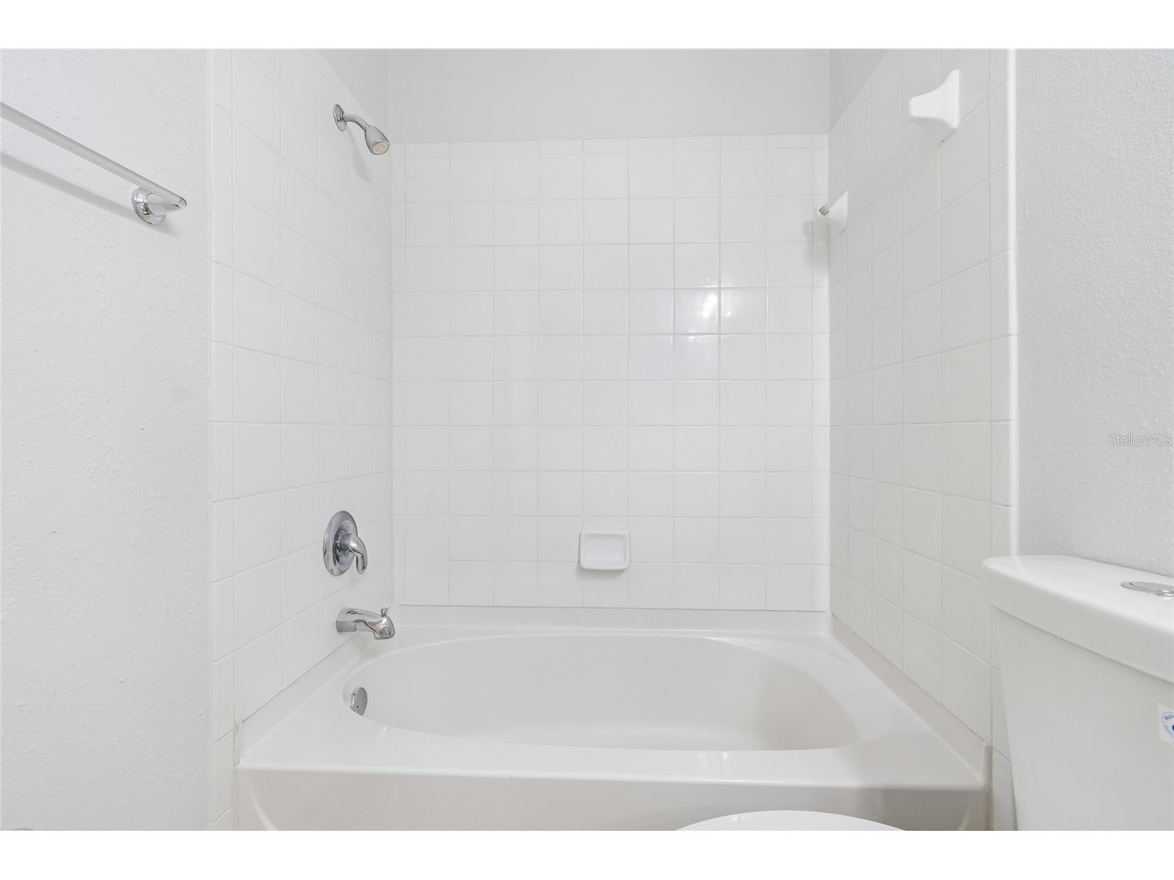 6705 Lake Rochester Lane Gibsonton FL 33534 TB8510081 image31