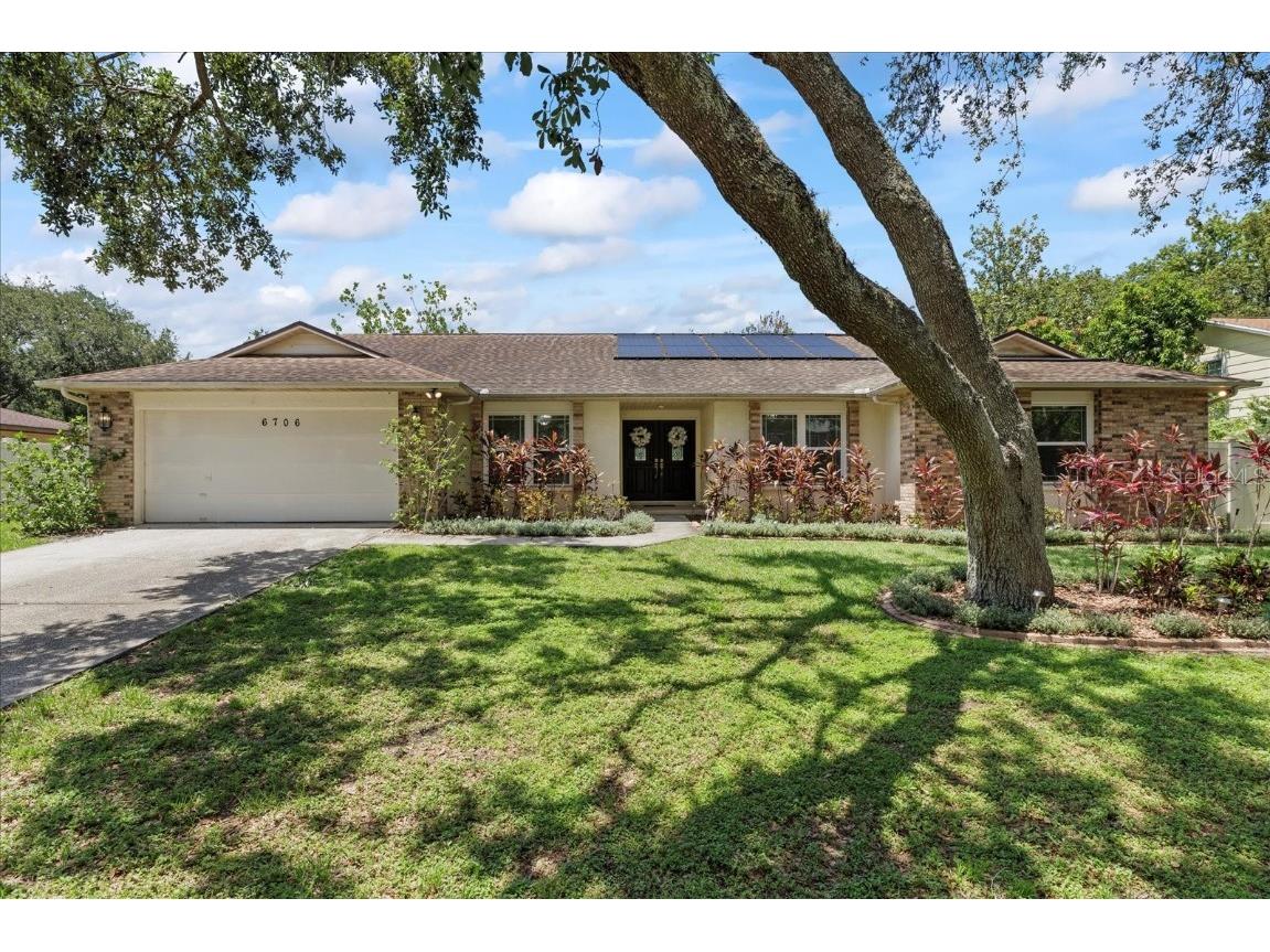 6706 Dunes Lane Temple Terrace FL 33617 TB8400695 image1