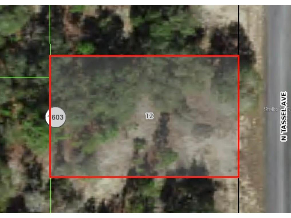 6706 N Tassel Terrace Citrus Springs FL 34433 A4601731 image1