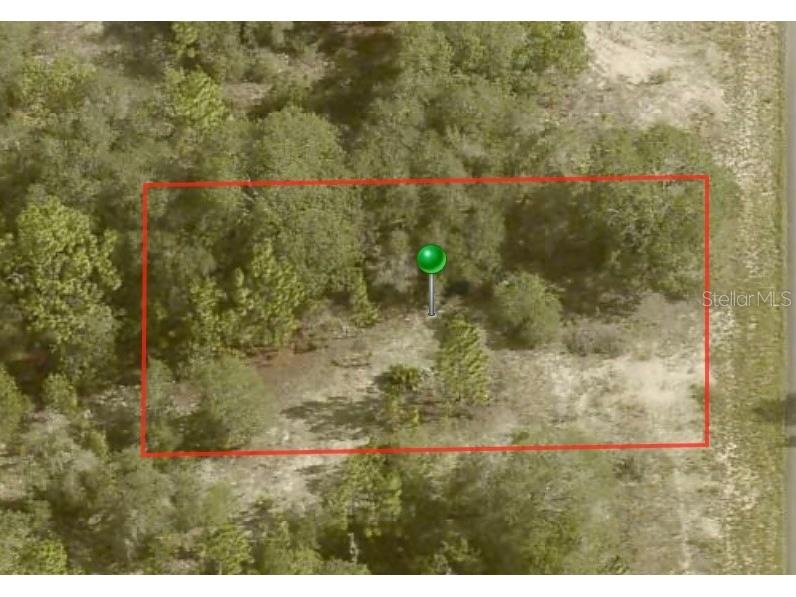 6706 N Tassel Terrace Citrus Springs FL 34433 A4601731 image2