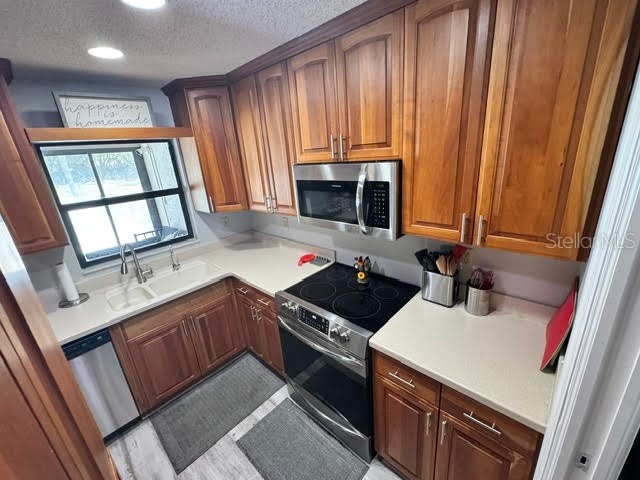 6706 Waldorf Court New Port Richey FL 34655 W7880176 image15