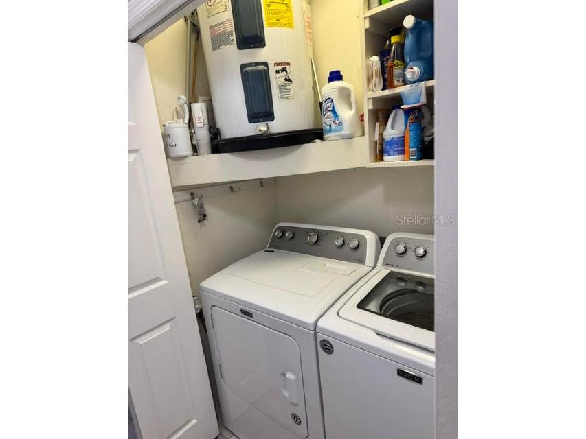 6706 Waldorf Court New Port Richey FL 34655 W7880176 image7