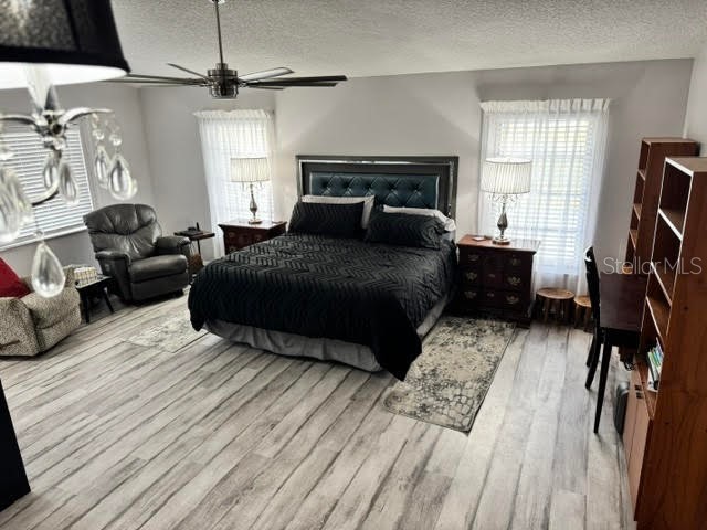 6706 Waldorf Court New Port Richey FL 34655 W7880176 image8