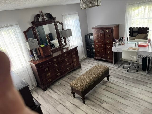 6706 Waldorf Court New Port Richey FL 34655 W7880176 image9