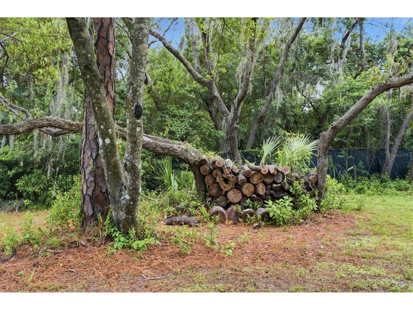6706 Waldorf Court New Port Richey FL 34655 W7887450 image51
