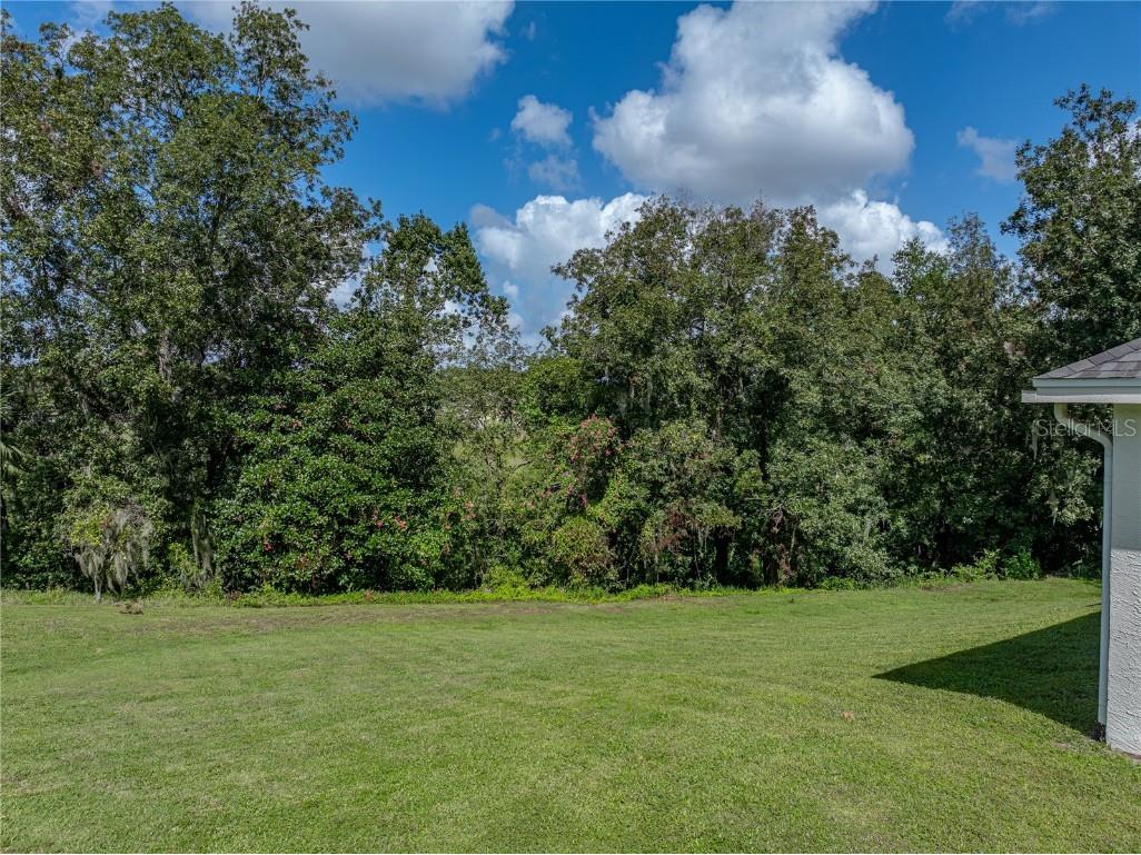 6707 Highlands Creek Boulevard Lakeland FL 33813 L4956962 image82