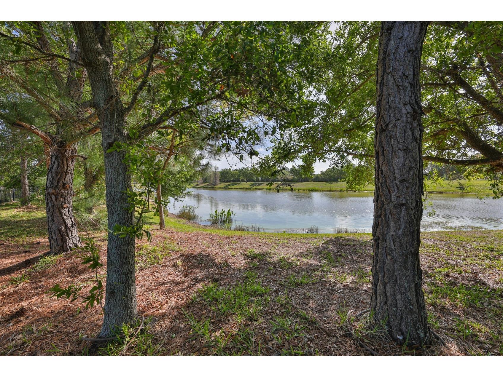 6707 Park Strand Drive Apollo Beach FL 33572 TB8493322 image58