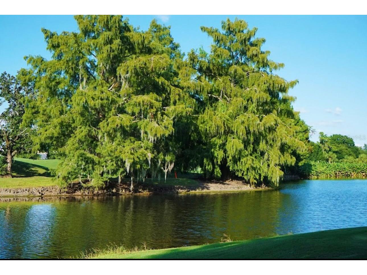 6707 Stone River Road #101 Bradenton FL 34203 TB8469756 image83