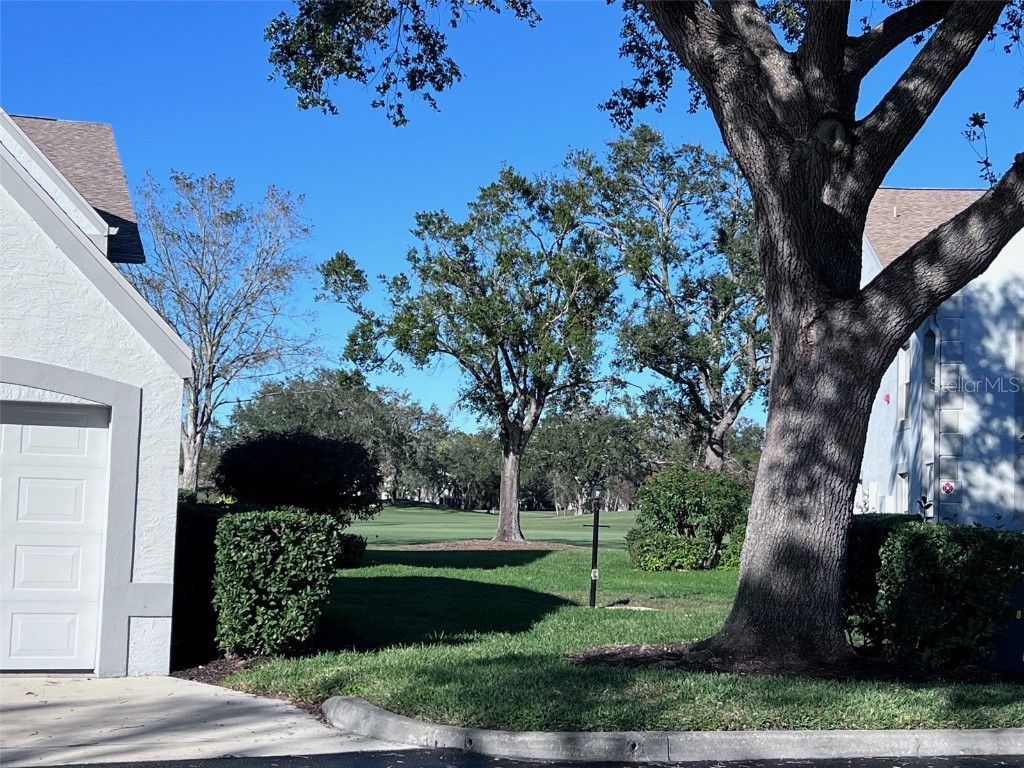 6707 Stone River Road #203 Bradenton FL 34203 A4635562 image28