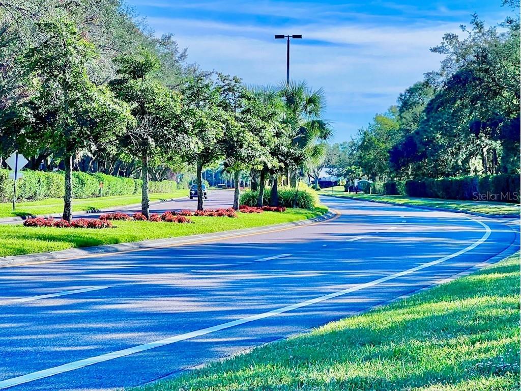 6707 Stone River Road #203 Bradenton FL 34203 A4635562 image30