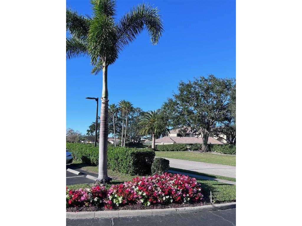 6707 Stone River Road #203 Bradenton FL 34203 A4635562 image32